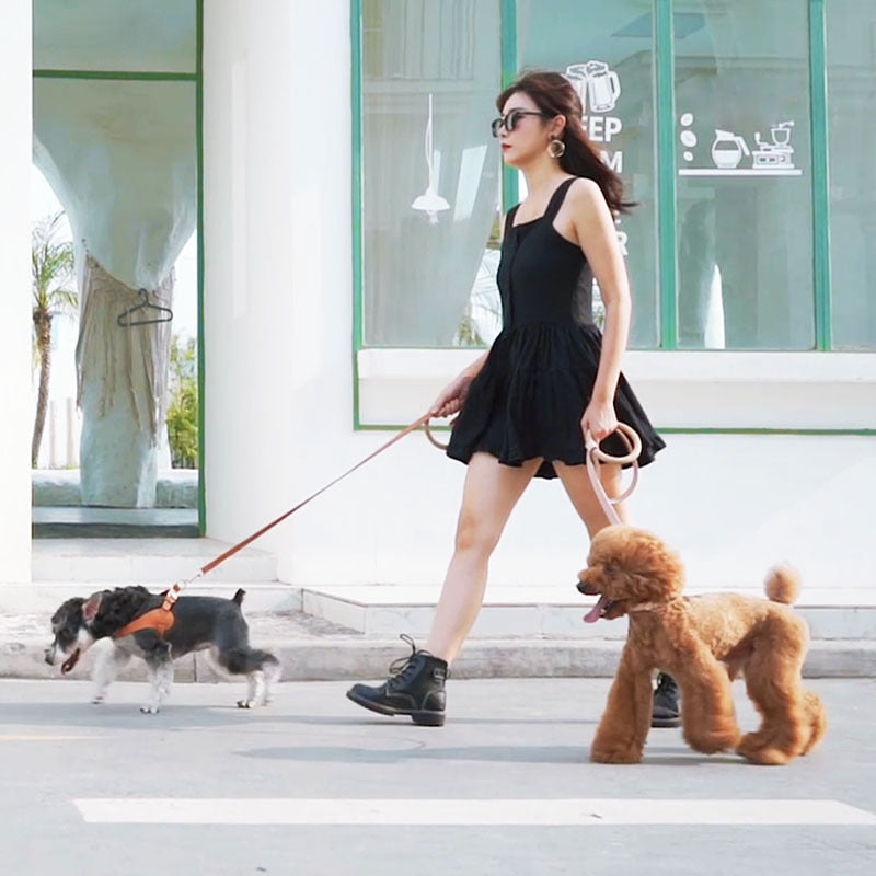 JMT-933898 Stylish Minimalist Super-Fiber Comfortable Pet Leash for Small to Medium Dogs