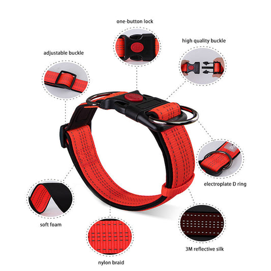 JMT-943114 Fluorescent Dog Leash Set with Bow – Collars and Straps Available in Multiple Colors for Small, Medium, and Large Breeds