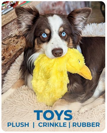 JMT-945738 Interactive Plush Dog Duck Toy for All Breeds - Squeaky, No-Stuffing Design for Chewing and Playing