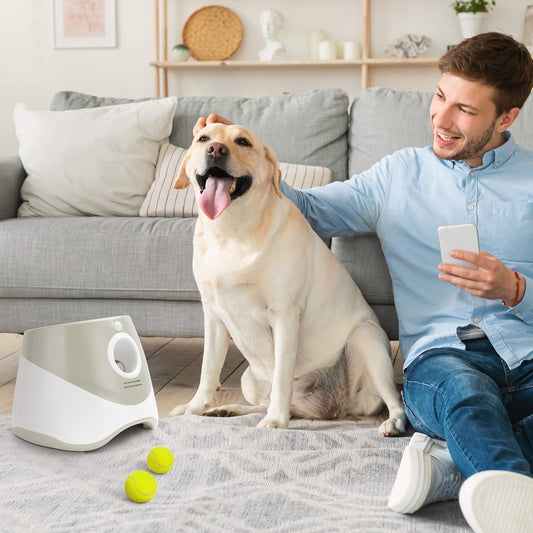 JMT-947210 Self-Pickup Automatic Dog Ball Launcher for Small to Medium Dogs – Interactive Indoor/Outdoor Toy with 3 Launching Ranges, 6 Chewable Mini Tennis Balls Included