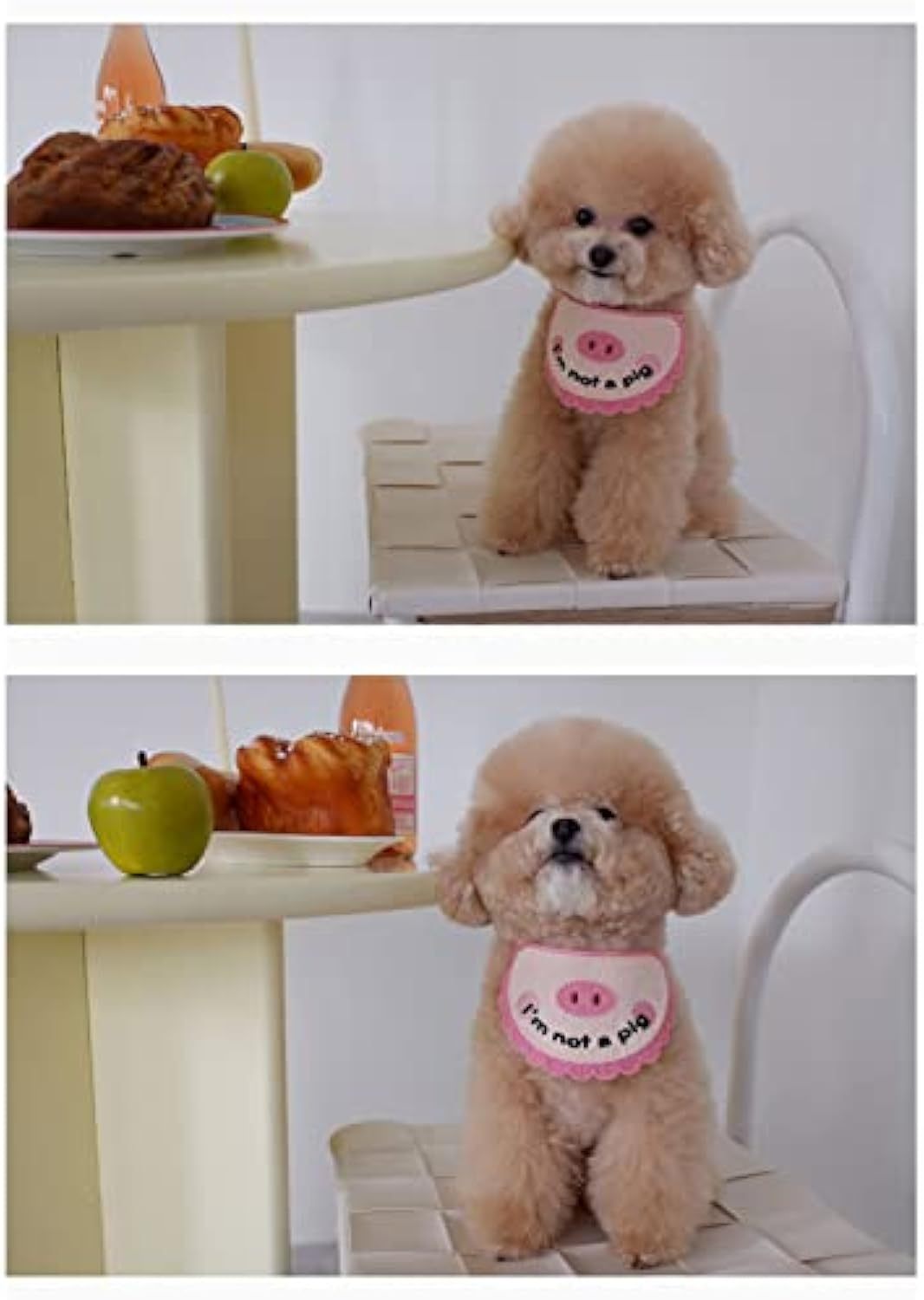 JMT-953290 Ultra Soft Crocheted Cat Towel with Adorable Pig Design for Pet Care