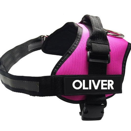 JMT-955146 Adjustable Nylon Chest Harness with Leash for Dogs - Multiple Colors and Sizes Available