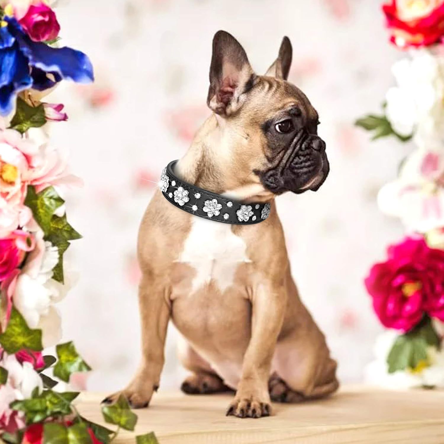 JMT-957770 Rhinestone Flower Studded PU Leather Dog Collar for Small and Medium Breeds