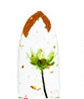JMT-958538 Temperature Change Lipstick with Dried Flowers, Moisturizing Formula, 3.8g