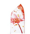 JMT-958538 Temperature Change Lipstick with Dried Flowers, Moisturizing Formula, 3.8g