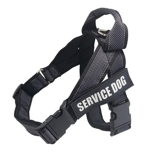JMT-958602 Large Dog Safety Car Chest and Back Strap - Durable Nylon, Quick Release, Multiple Sizes Available