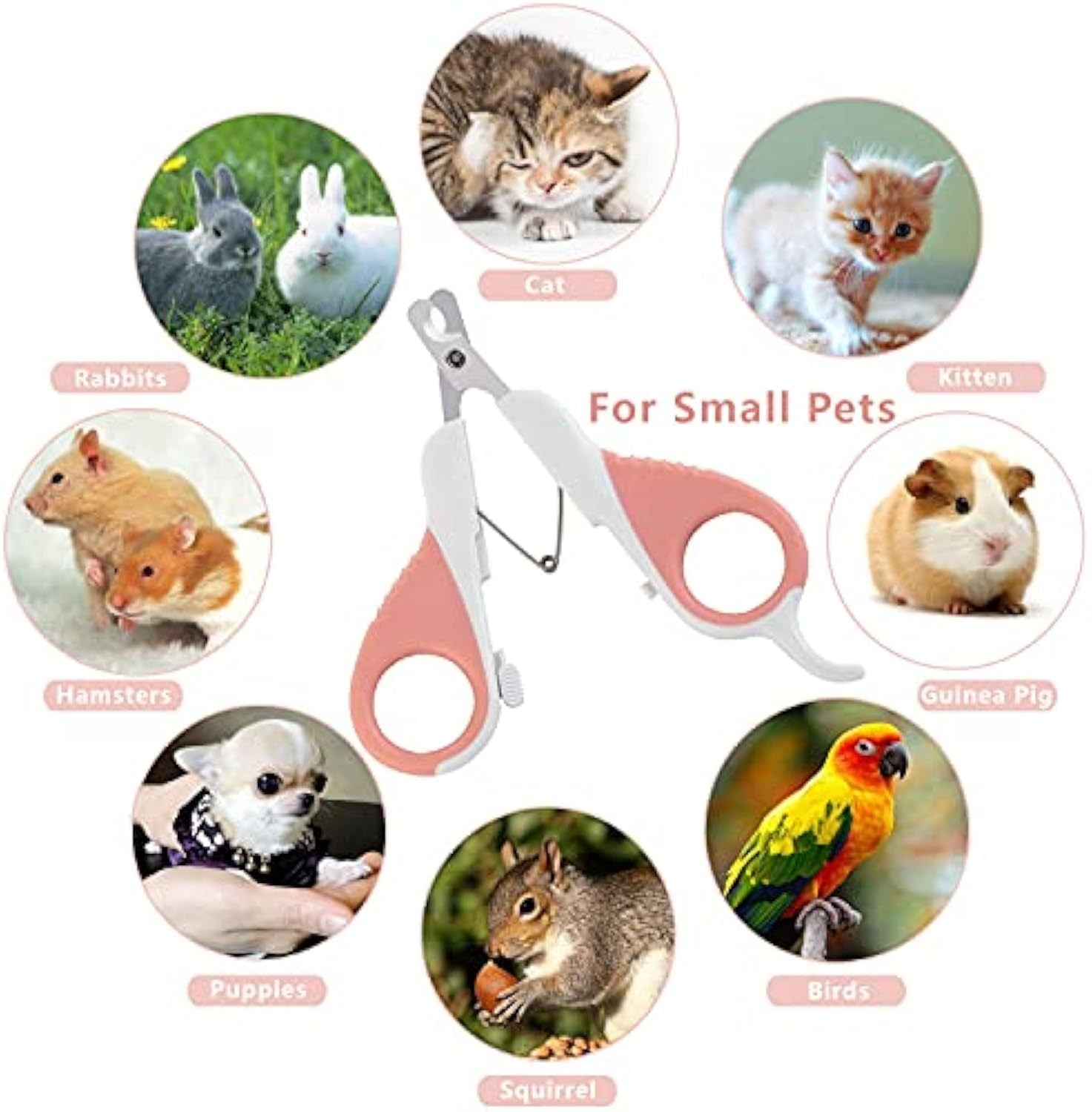 JMT-959242 Pet Nail Clippers with Safety Guard and Angled Blade for Cats, Kittens, Small Dogs, and Other Small Animals