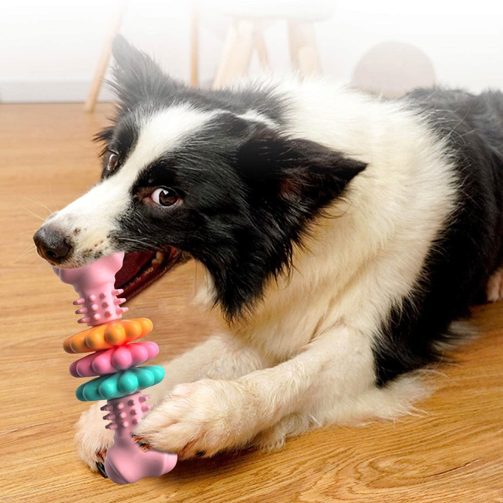 JMT-960714 Durable TPR Dog Chew Toy Bone for Dental Health and Stress Relief - Ideal for Small to Large Breeds