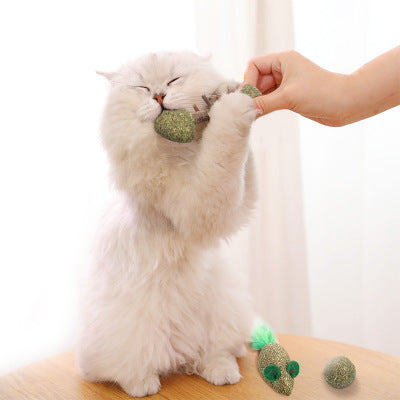 JMT-961866 Catnip Toy Fish, Mouse, and Ball - Dental Care and Hairball Relief for Cats