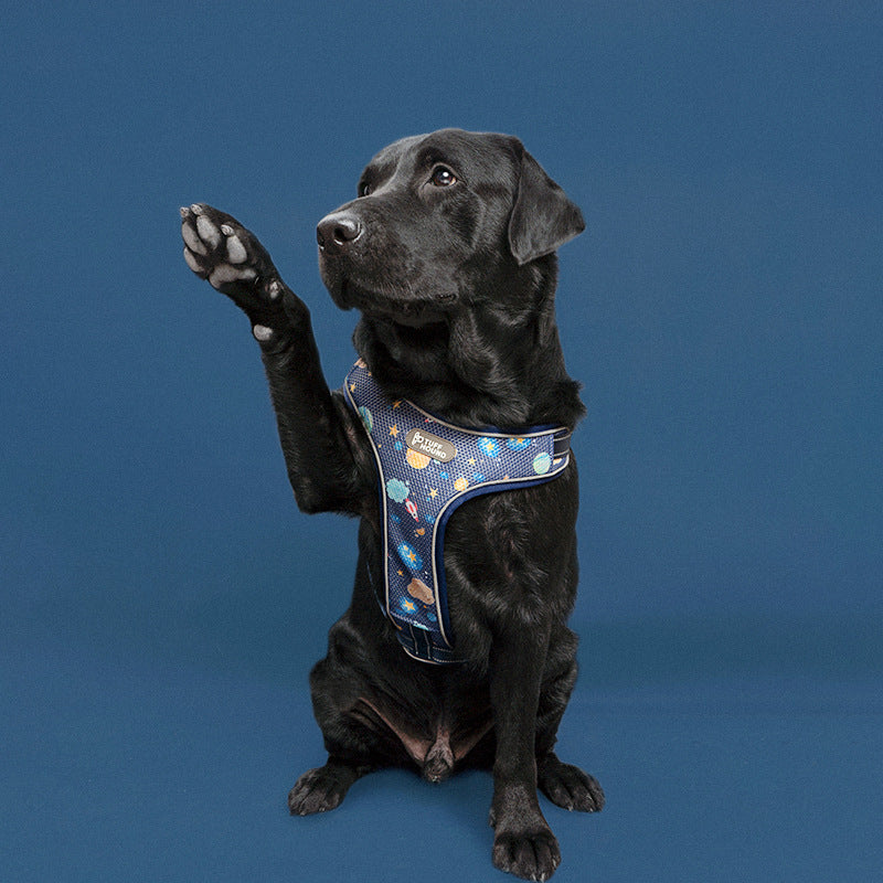 JMT-967818 Adjustable Nylon Dog Chest Strap with Traction Rope – Sizes S to XL