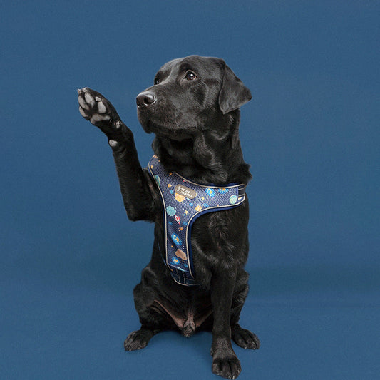 JMT-967818 Adjustable Nylon Dog Chest Strap with Traction Rope – Sizes S to XL