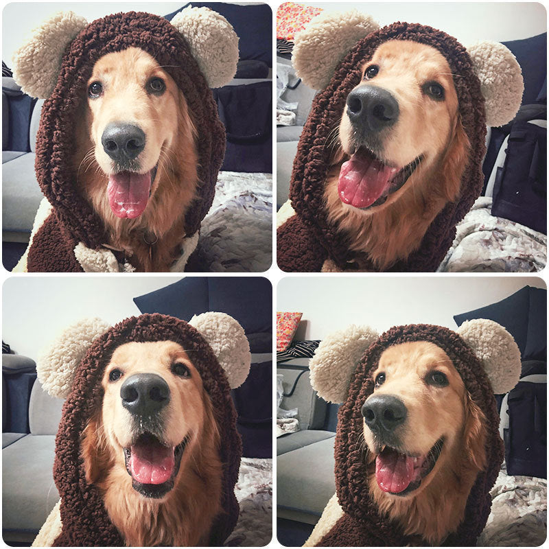JMT-969098 Winter Pet Suit for Labrador Dogs - Four-Legged Design for Comfort and Warmth