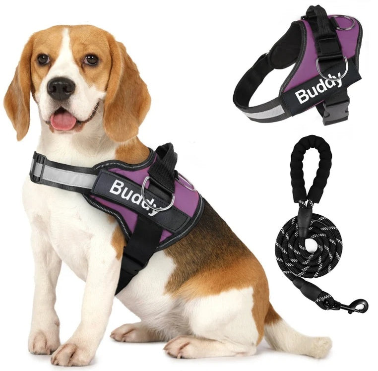 JMT-970954 Couple's Dog Chest Strap and Lead Rope Set in Durable Polyester