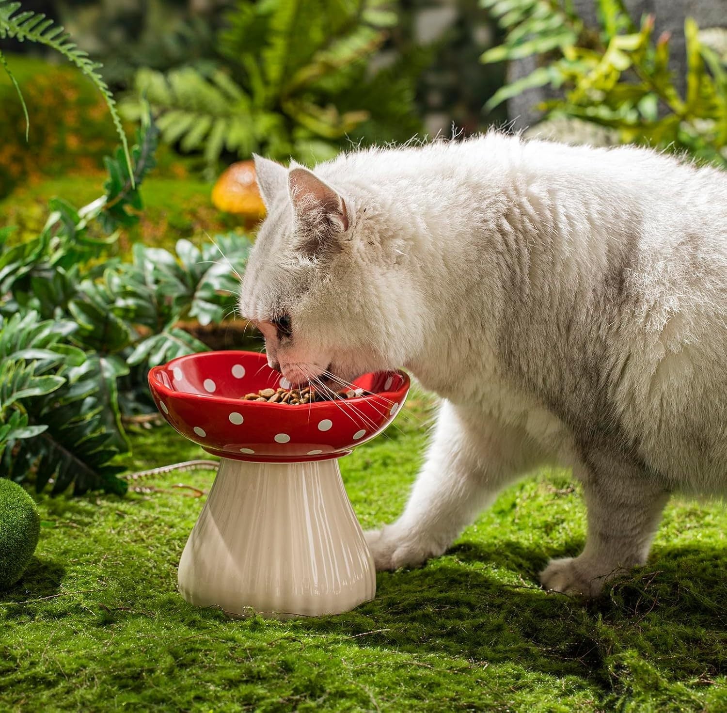 JMT-975050 Mushroom Design Ceramic Cat Bowl for Small Pets in Polka Dot Style