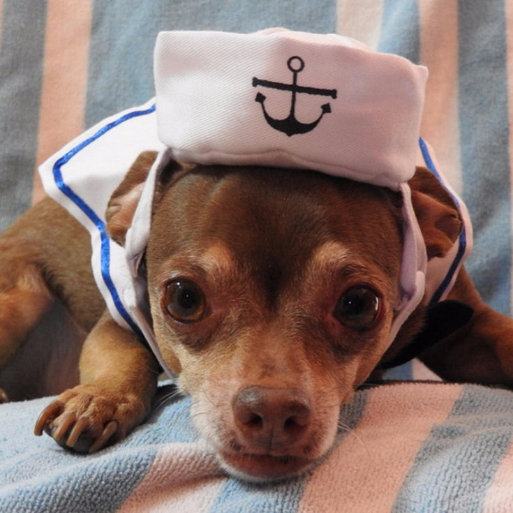 JMT-977162 Pet Sailor Suit - Adjustable Cloth Naval Outfit for Small to Medium Pets