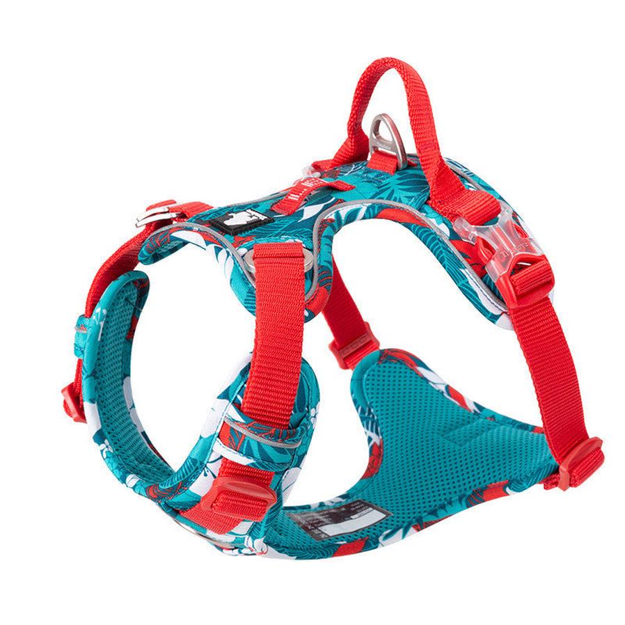 JMT-977866 Adjustable Vest-Style Chest Harness for Large Dogs - Blue-Red & Purple-Green Options