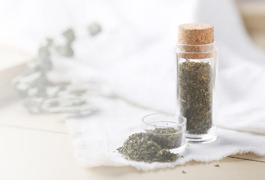 JMT-979914 Cat Grass Treats for Fresh Breath and Dental Care with Catnip Flavor