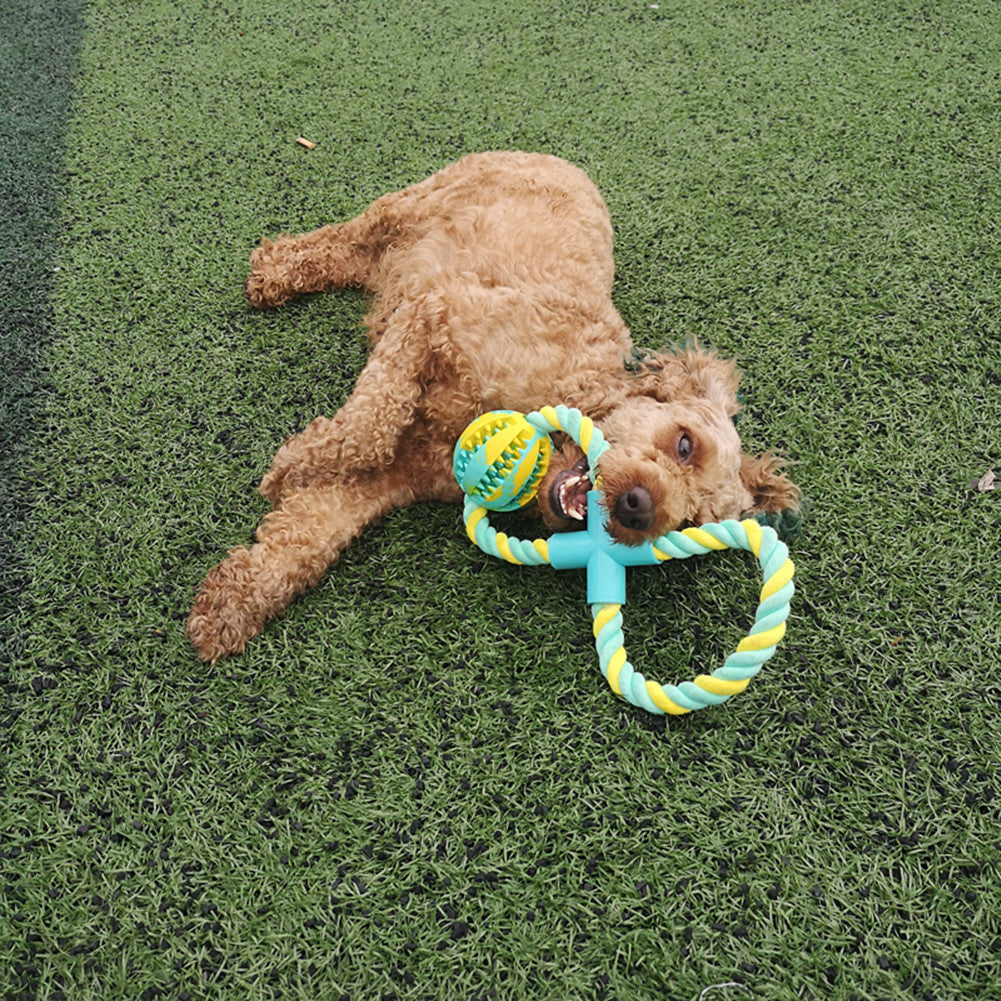 JMT-981130 Bite-Resistant Rubber Dog Toy with Cotton Rope and Snack Compartment