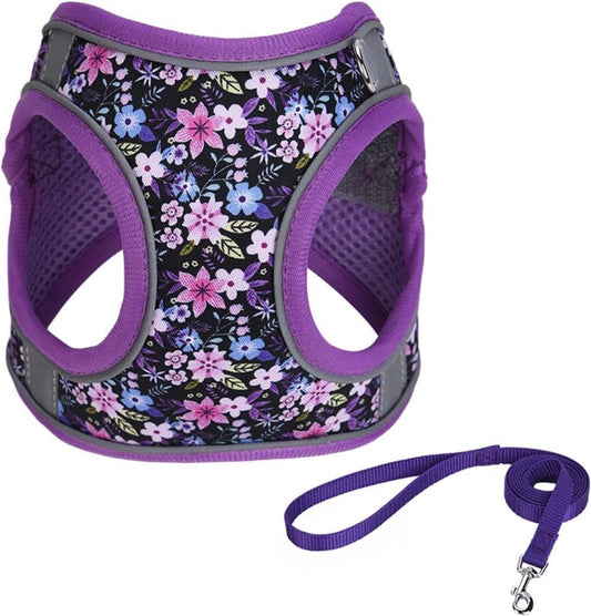 JMT-981322 Adjustable No Pull Dog Harness with Soft Mesh Padded Vest and 5ft Leash - Reflective, Comfortable, Floral Design for Small to Medium Dogs