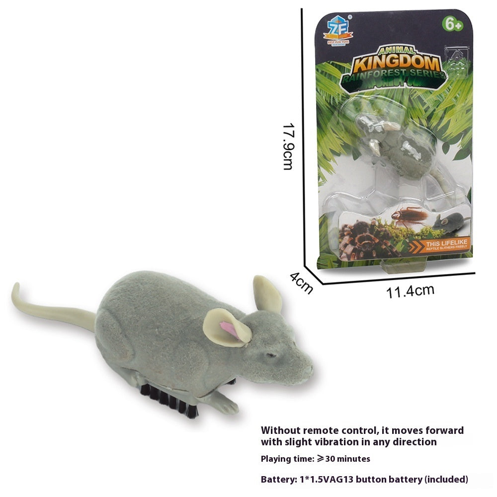 JMT-981962 Vibrating Simulation Toy for Pets - Cockroach, Tarantula, Mouse & Dragonfly