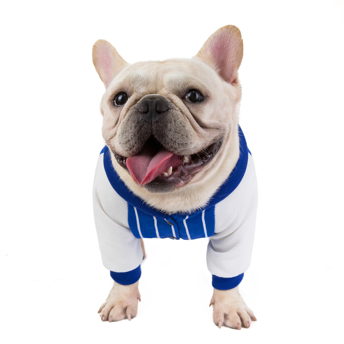 JMT-988362 Bulldog Cotton Dog Apparel - Comfortable & Stylish Clothing for Your Pet