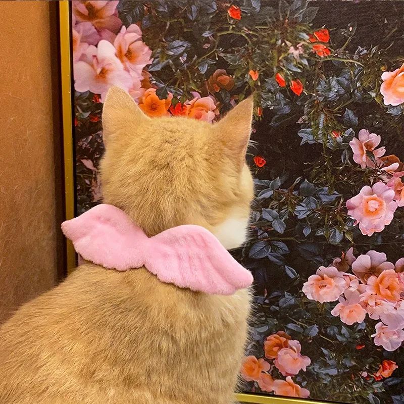 JMT-989706 Angel Wing Collar with Butterfly Tie for Cats & Small Dogs - Neck Sizes S: 14-24cm, M: 24-34cm, L: 34-44cm