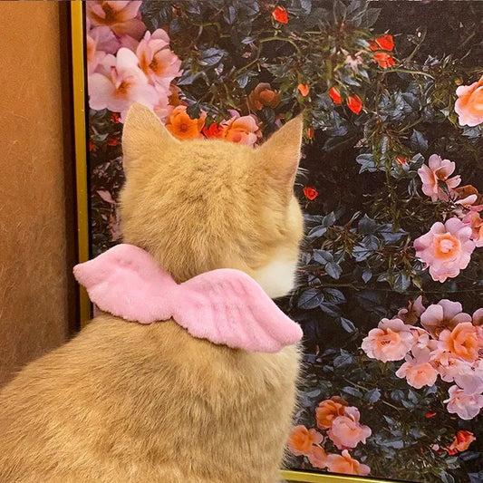 JMT-989706 Angel Wing Collar with Butterfly Tie for Cats & Small Dogs - Neck Sizes S: 14-24cm, M: 24-34cm, L: 34-44cm