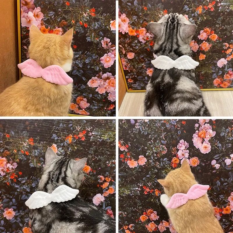 JMT-989706 Angel Wing Collar with Butterfly Tie for Cats & Small Dogs - Neck Sizes S: 14-24cm, M: 24-34cm, L: 34-44cm