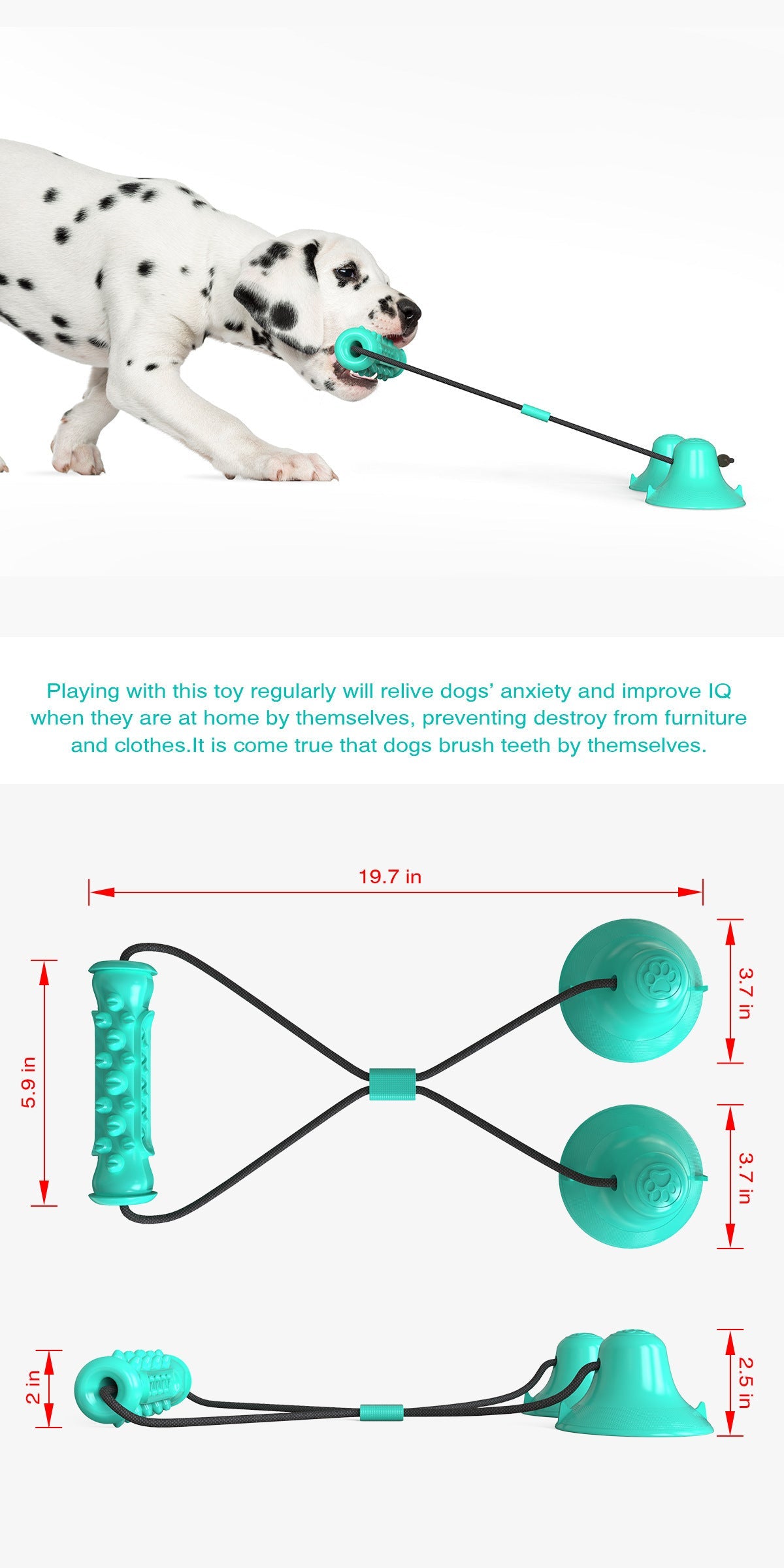 JMT-991178 Double Suction Cup Dog Toy for Molar Chewing - Lake Blue & Green Plastic