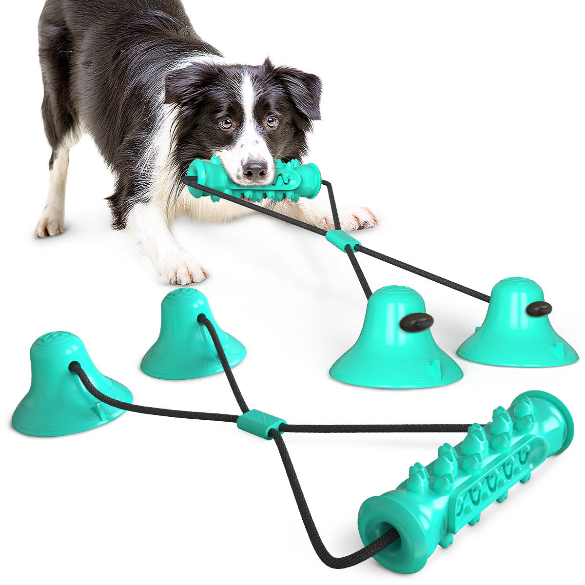 JMT-991178 Double Suction Cup Dog Toy for Molar Chewing - Lake Blue & Green Plastic