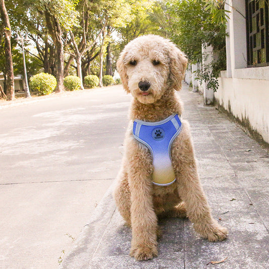 JMT-992522 Gradient Color Reflective Dog Chest and Back Strap - Adjustable Polyester Harness for Comfort and Safety