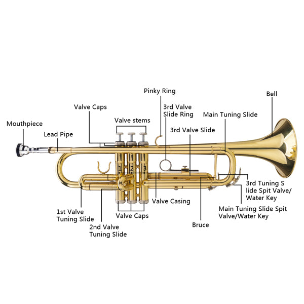 JMT-994378 Adjustable Golden Trumpet Gloves Set for Enhanced Performance
