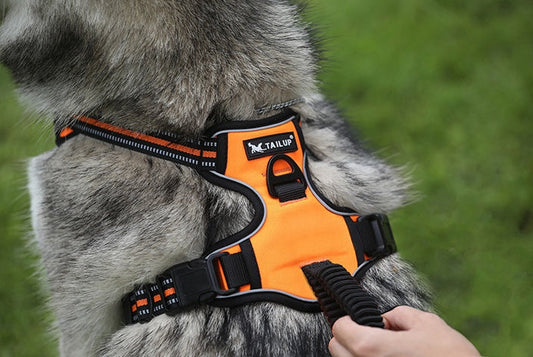 JMT-994826 Reflective Double Stack Chest Strap for Pets - Explosion-Proof, Wear-Resistant Fabric, Sizes S-XL, Multiple Colors Available