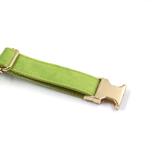 JMT-996298 Elegant Fruit Green Velvet Dog Collar with Gold Buckle - Multiple Sizes Available