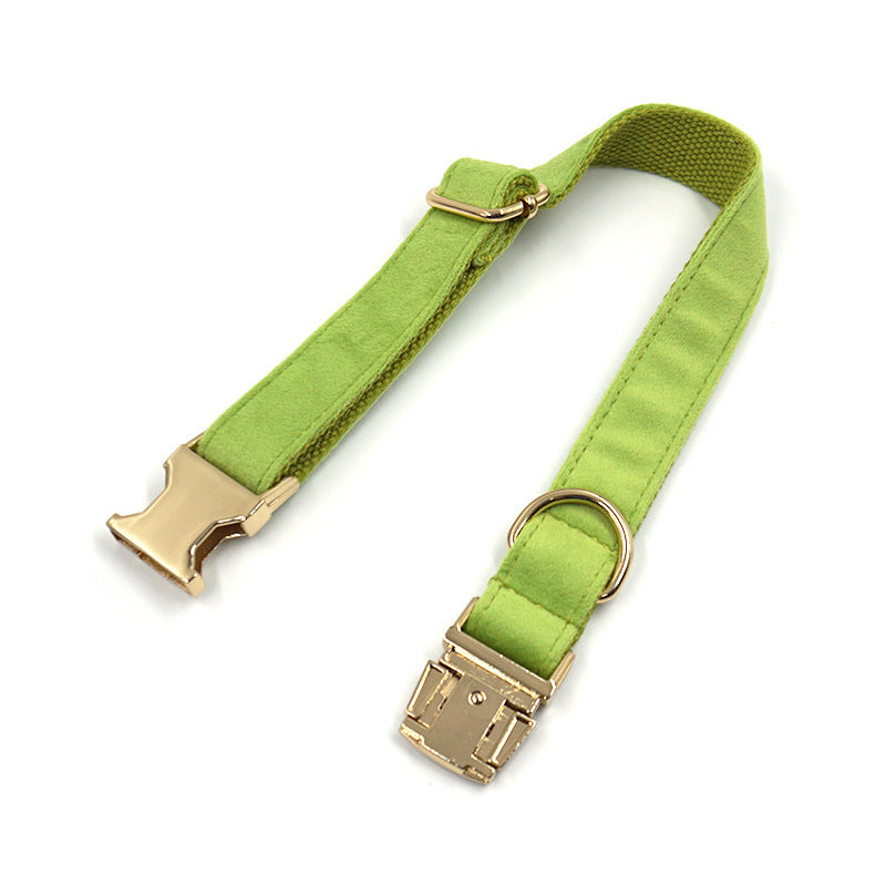 JMT-996298 Elegant Fruit Green Velvet Dog Collar with Gold Buckle - Multiple Sizes Available