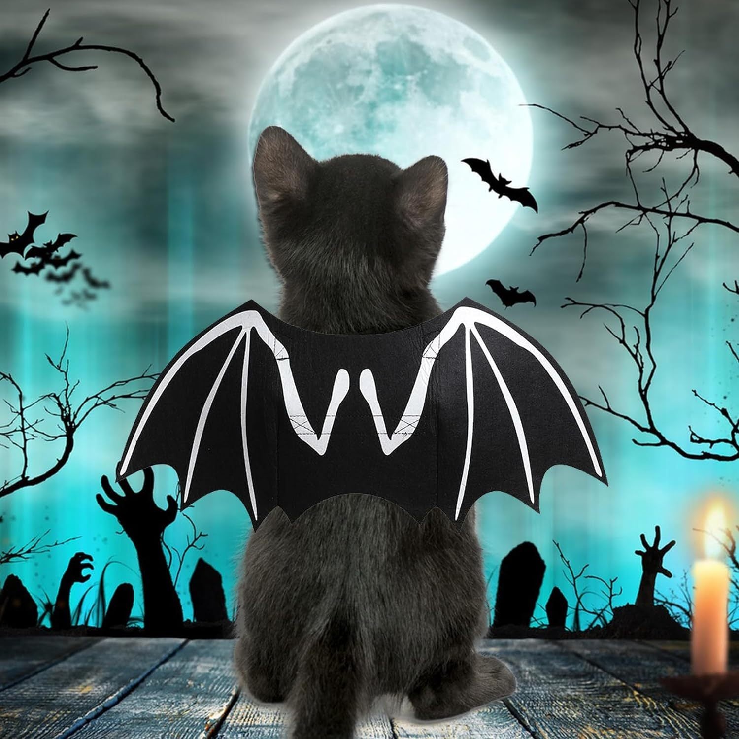 JMT-997706 Luminous Bat Wings Halloween Costume for Small to Large Dogs and Cats