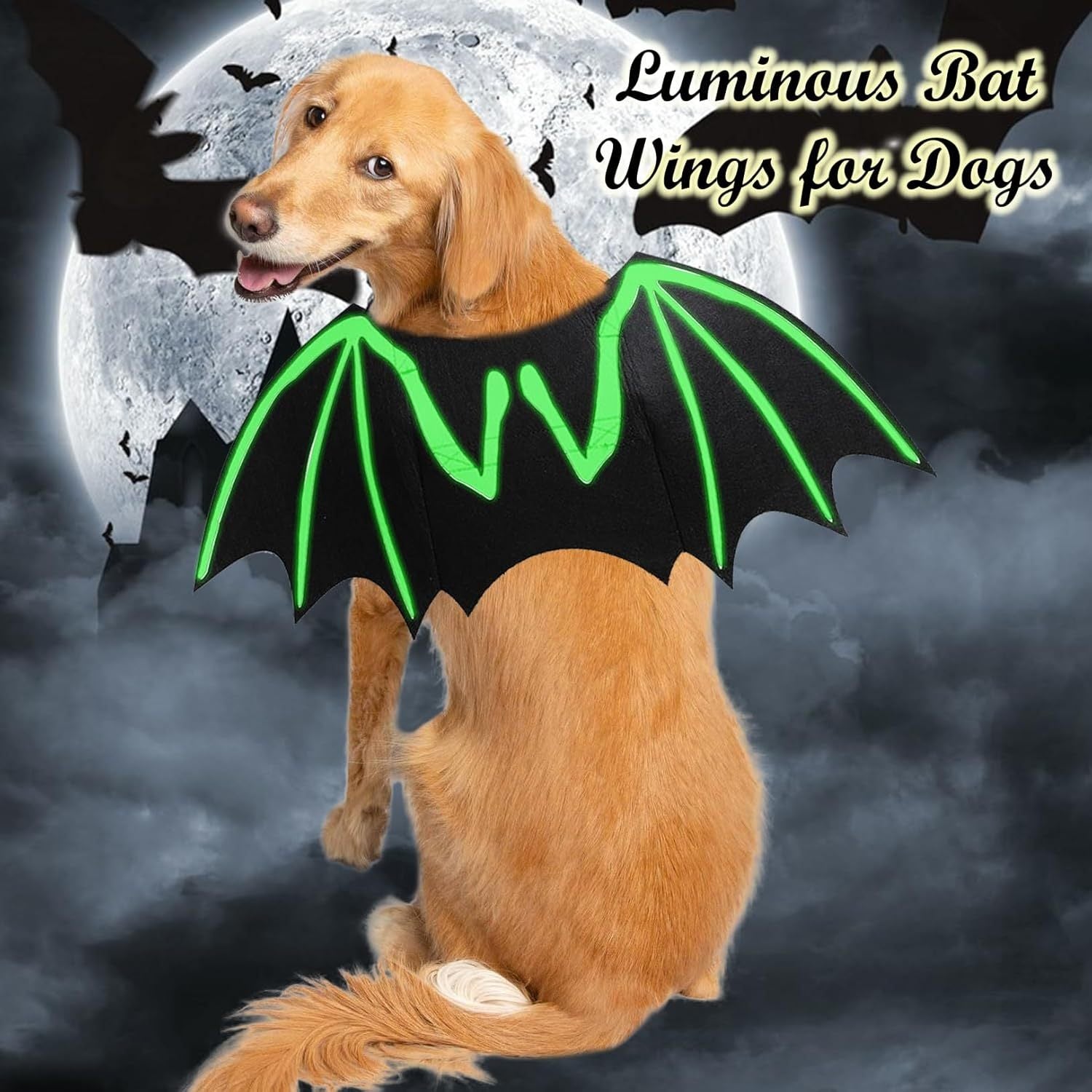 JMT-997706 Luminous Bat Wings Halloween Costume for Small to Large Dogs and Cats