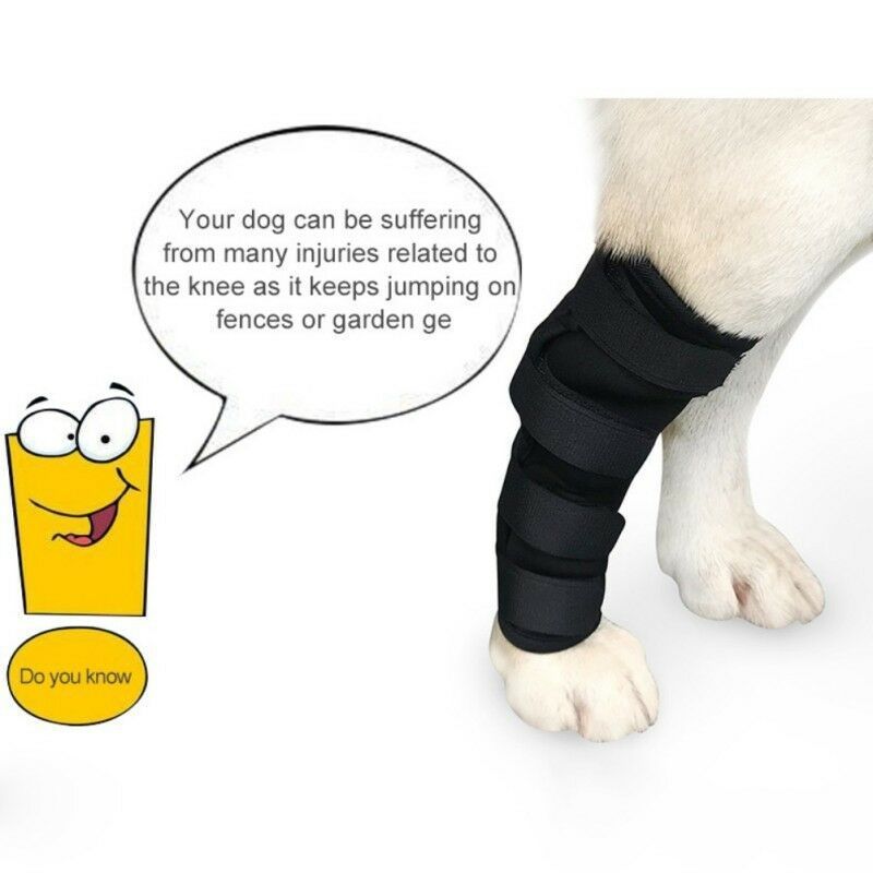 JMT-998410 Dog Leg Support Sleeve for Injury Prevention and Recovery in Black