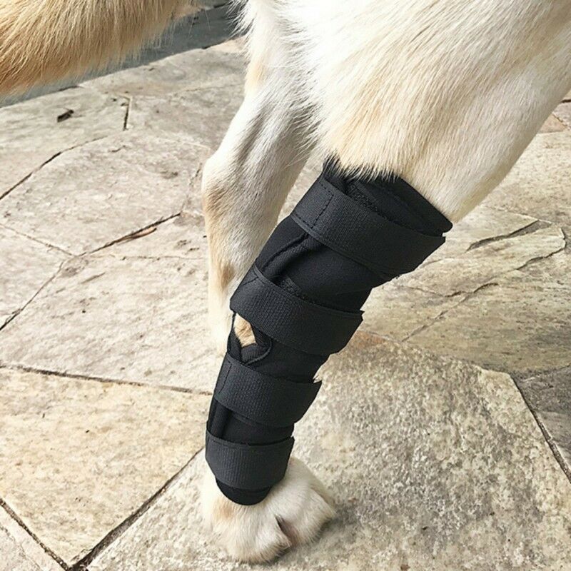 JMT-998410 Dog Leg Support Sleeve for Injury Prevention and Recovery in Black